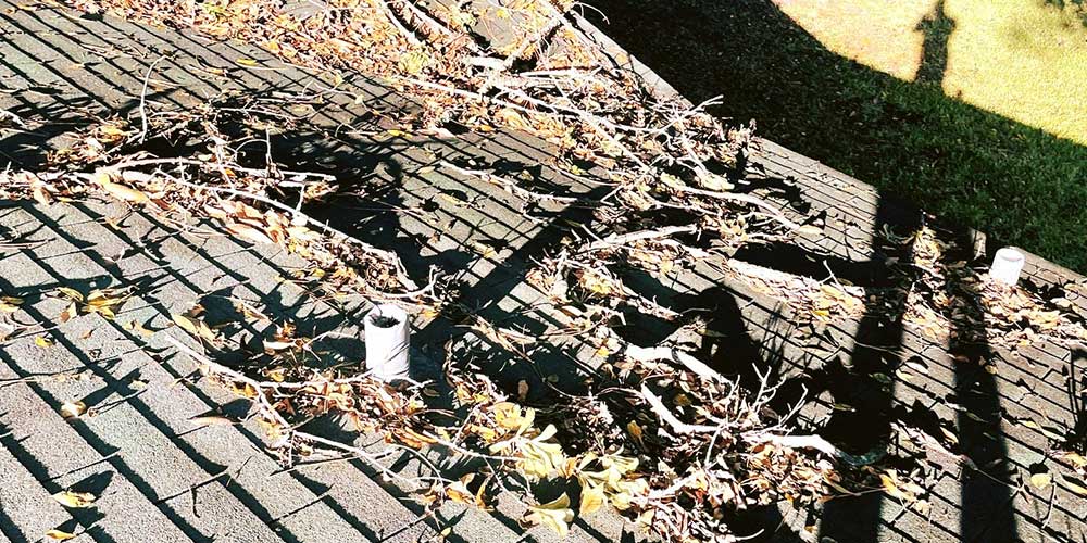 Brown's Roofing Storm Damage Repair Expert